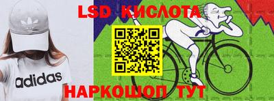 стафф Бийск