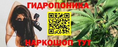 стафф Бийск