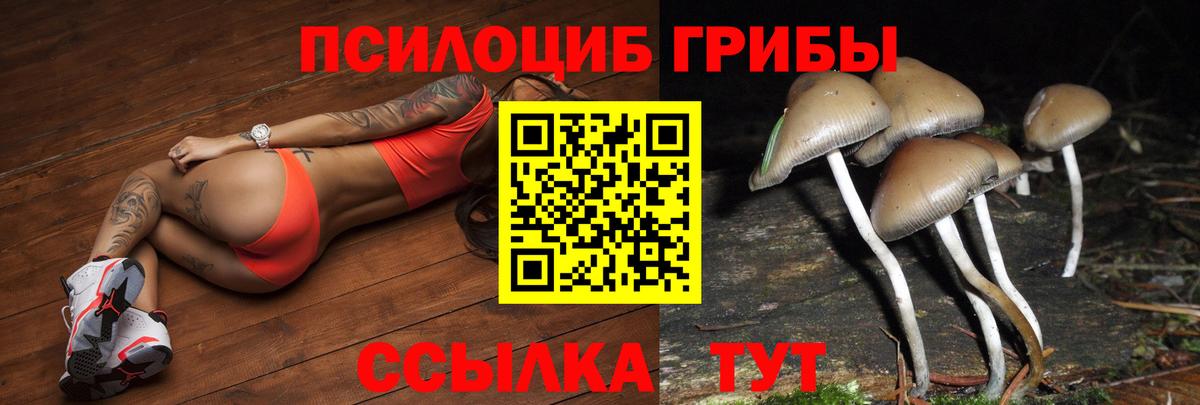 Галлюциногенные грибы Magic Shrooms  Вход с VPN  Псилоцибиновые грибы MAGIC MUSHROOMS  Кольчугино 