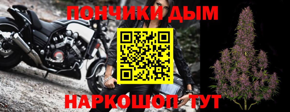 Бошки Шишки конопля Кольчугино